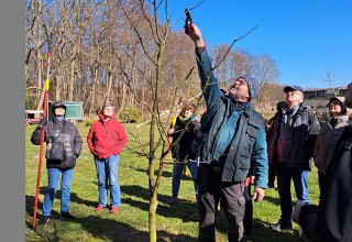 Thomas Franiel demonstrates how to prune fruit trees., © Jan LIppke Thomas Franiel demonstrates how to prune fruit trees., © Jan LIppke