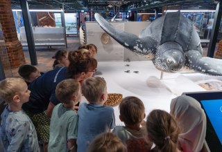 &copy; Anke Neumeister/Deutsches Meeresmuseum