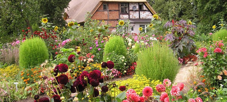 &copy; Gerd Albrecht