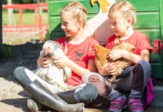 © Pferdehof Scholz © Pferdehof Scholz