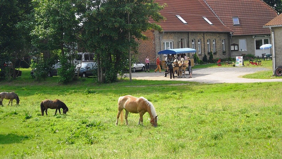 Przejażdżki bryczką z farmy wakacyjnej Botschatzke, © Ferienhof Botschatzke