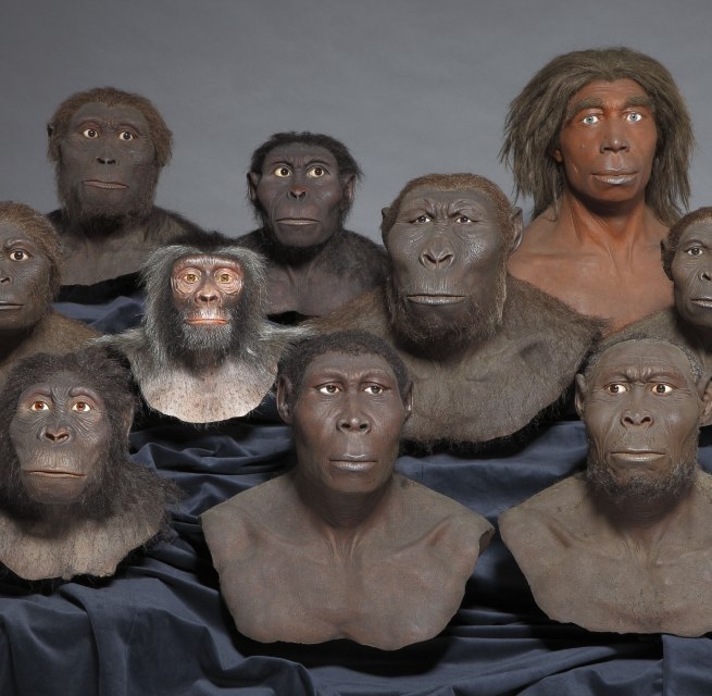 © Wolfgang Fuhrmannek/ HessischesLandesmuseumDarmstadt