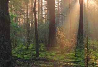 Time to take a deep breath // &copy; Christina Blohm