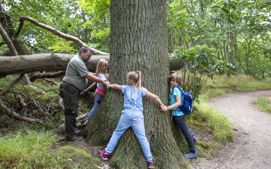 Adventure Nordperd for our little guests (c) Kurverwaltung Goehren Martin Stoever _07-2019_P5I6440, © Kurverwaltung Goehren / Martin Stoever