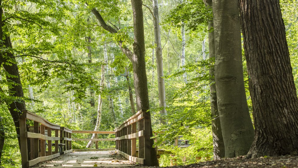 Kurwald Graal-Müritz 2 © André Pristaff, Tourismus- und Kur GmbH Graal-Müritz, © André Pristaff, Tourismus- und Kur GmbH Graal-Müritz