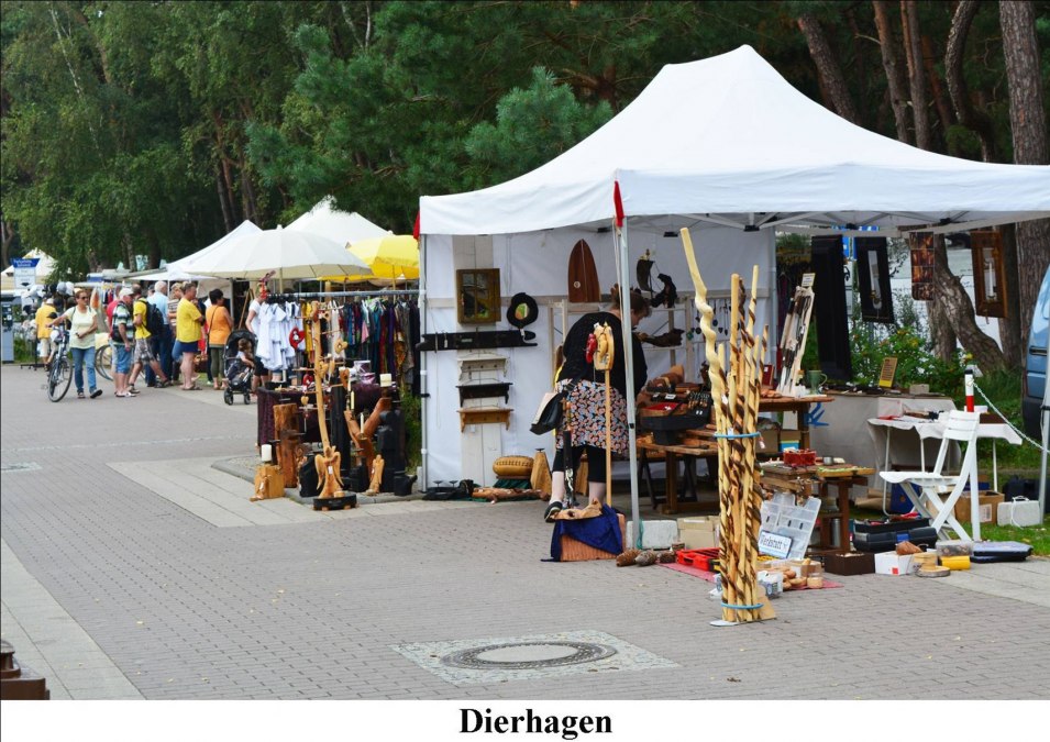 © DierhagenM-large.jpg