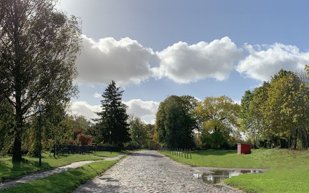 Pad naar het Schlatkow landhuis, © WERK Gut WOHNEN Schlatkow