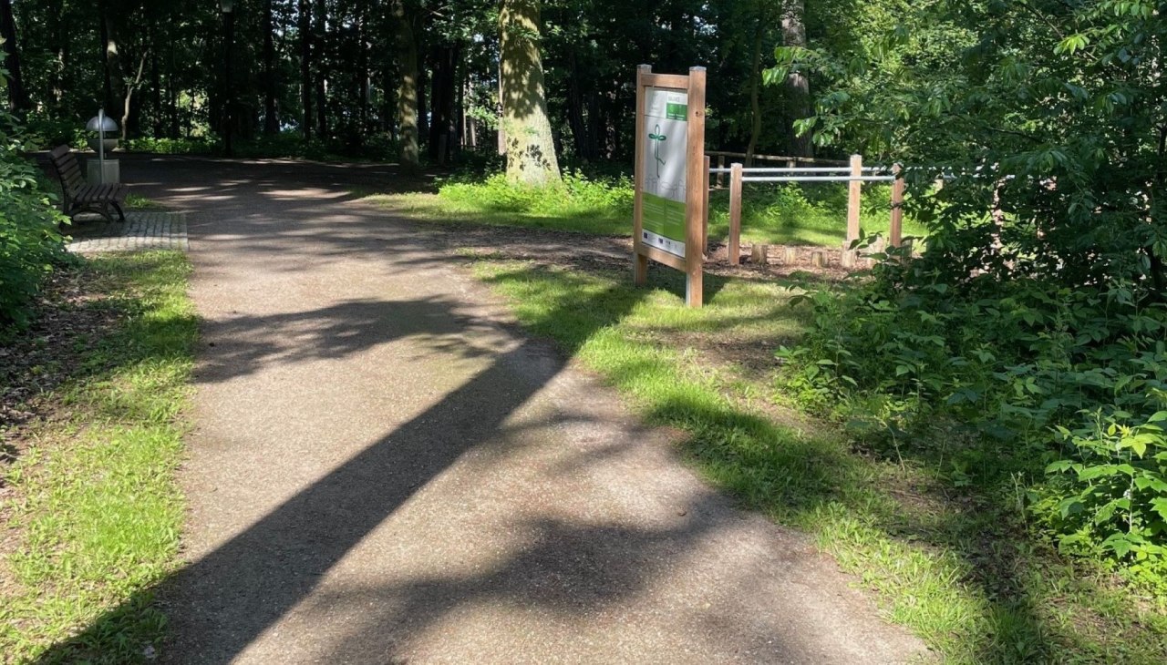geneeskrachtig bos t.s., © Waren (Müritz) Kur- und Tourismus GmbH