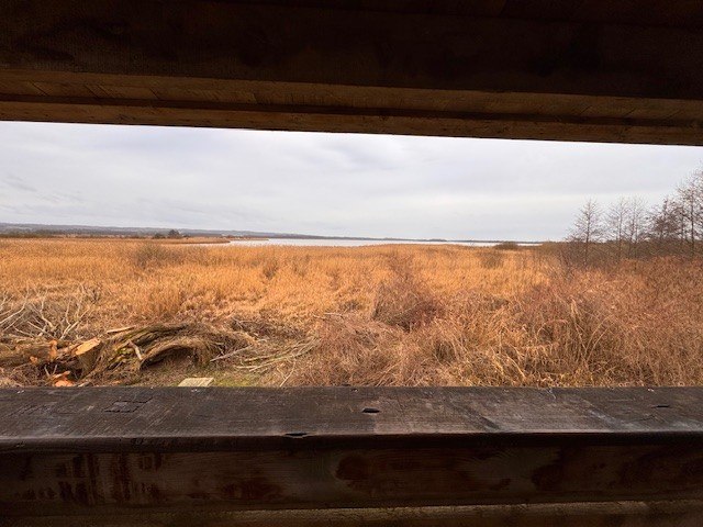 Plattform2, &copy; Staatliches Amt f&uuml;r Landwirtschaft und Umwelt Vorpommern