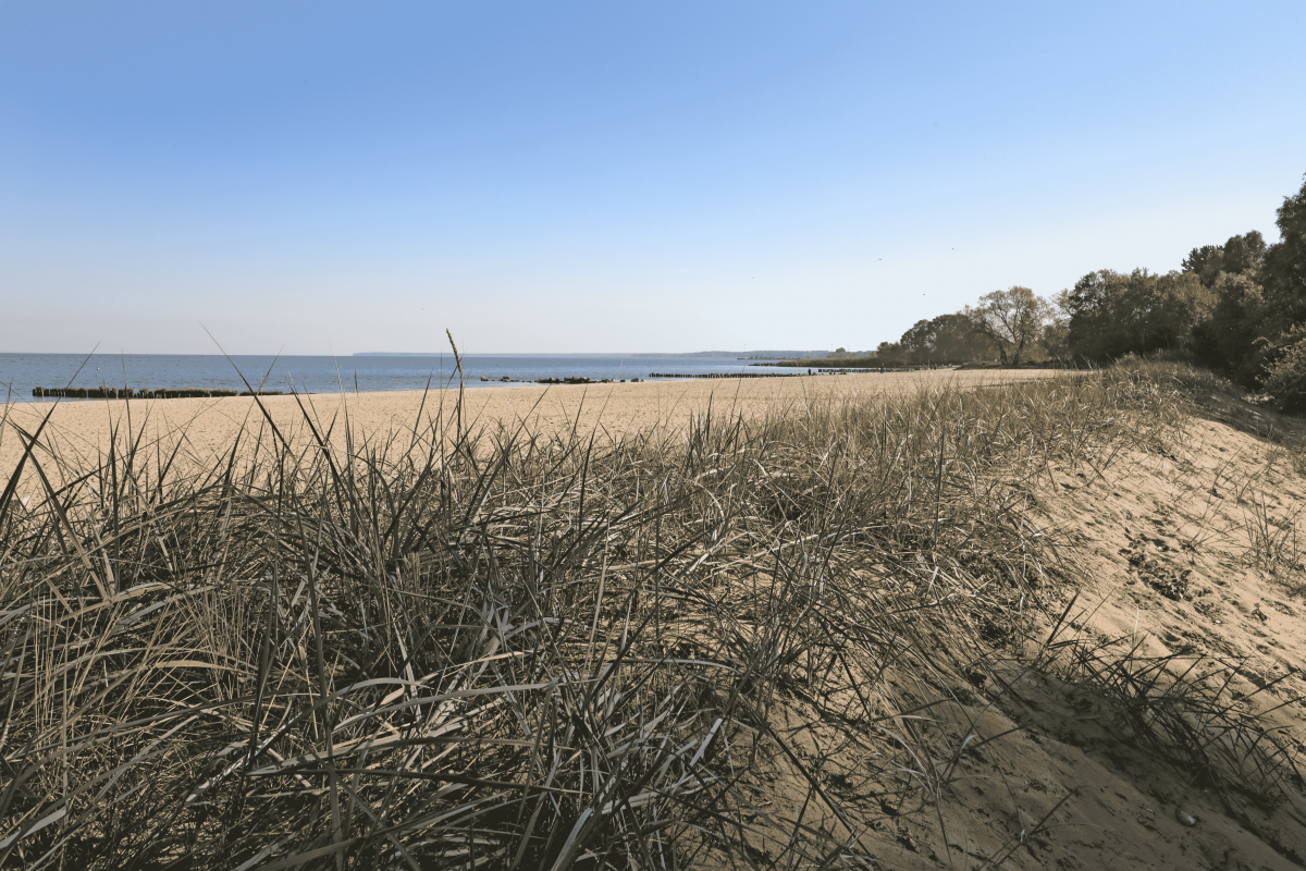 Surfspot Ueckermünde (Zalew Szczeciński), © TMV/Gohlke Surfspot Ueckermünde (Zalew Szczeciński), © TMV/Gohlke