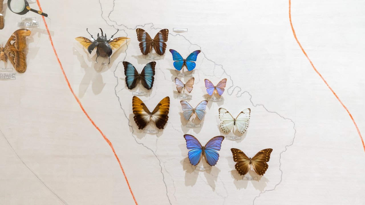 Skarby natury, &copy; Moritz Kertzscher