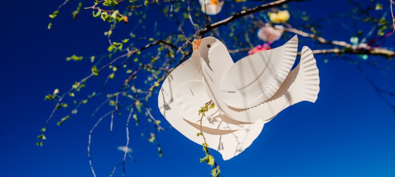 &copy; Binzer Bucht Tourismus