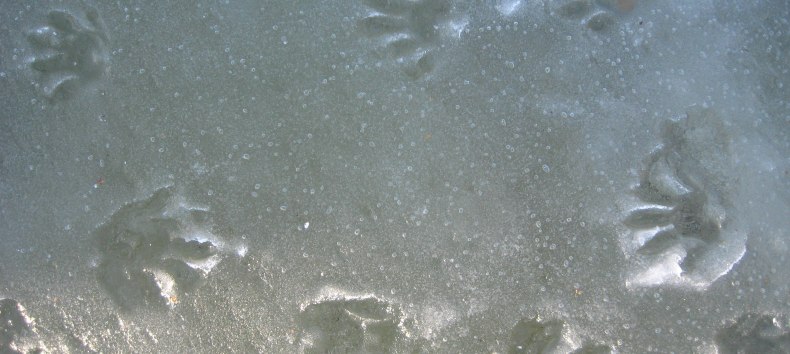 &copy; Ulrich Me&szlig;ner