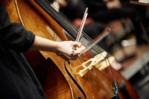 Illustration of a double bass // &copy; hmt Rostock