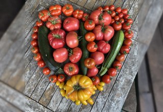 &copy; Stadtbibliothek Ribnitz-Damgarten