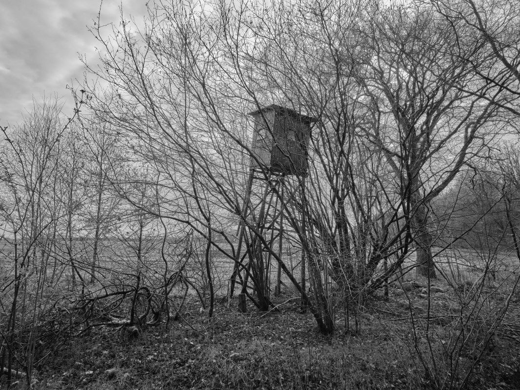 © Gutshaus Hessenburg / Richard Barnes © Gutshaus Hessenburg / Richard Barnes