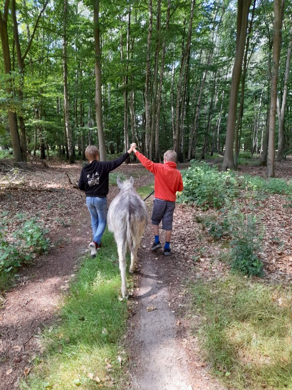 Een wandeling op een rustig ezeltempo kan een geweldige ervaring zijn voor het hele gezin. Ezels zijn nuchtere en gevoelige dieren die graag in menselijk gezelschap reizen. // © Andrea Hauser Een wandeling op een rustig ezeltempo kan een geweldige ervaring zijn voor het hele gezin. Ezels zijn nuchtere en gevoelige dieren die graag in menselijk gezelschap reizen. // © Andrea Hauser