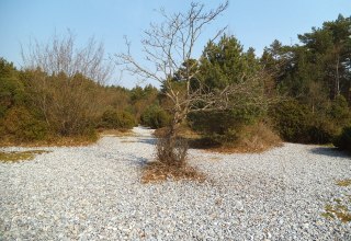 Pola krzemienne w Prora, &copy; Tourismuszentrale R&uuml;gen
