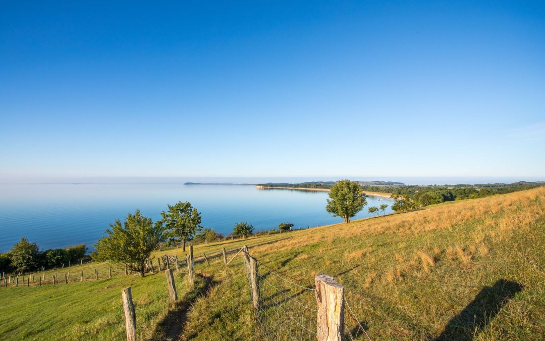 Discover Moenchgut in summer (c) Kurverwaltung Goehren Martin Stoever _08-2016_P5I9863, © Kurverwaltung Goehren / Martin Stoever
