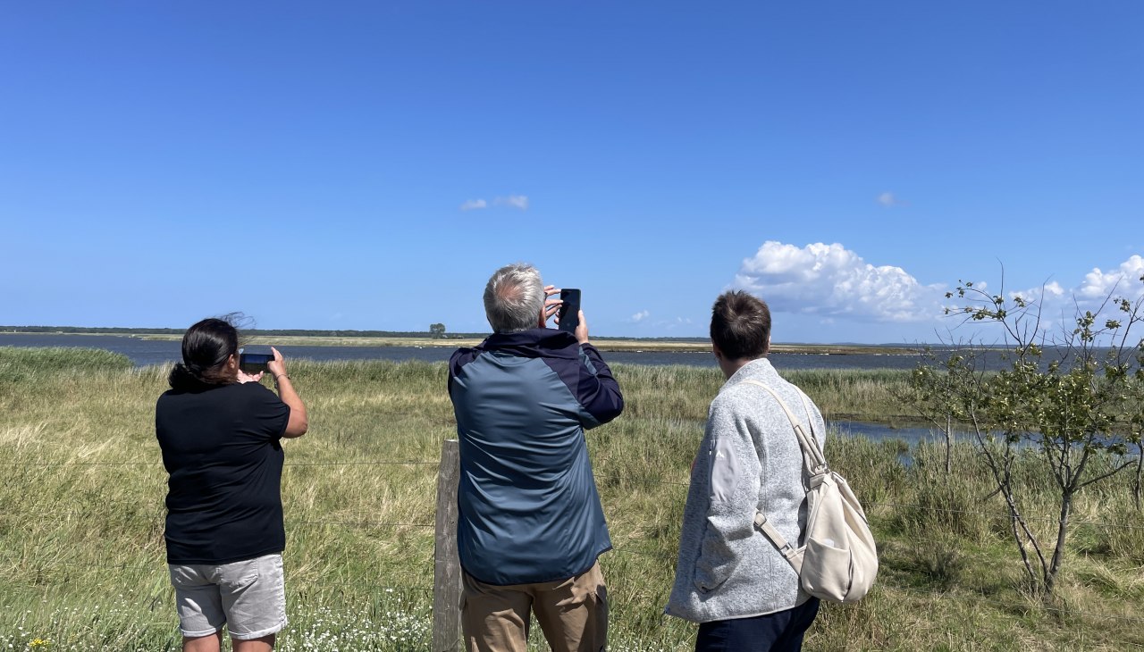 IMG_7282, &copy; TZ S&uuml;dliche Boddenk&uuml;ste