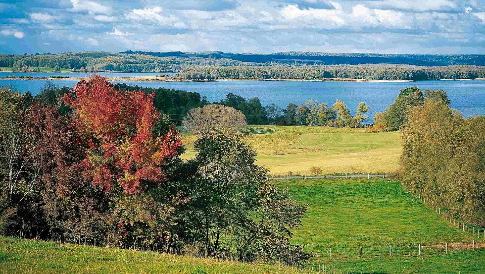 Heuvels met bossen, prachtige meren – op gouden herfstdagen de ongekende charme van het Feldberger merenlandschap beleven, © TMV/Grundner Heuvels met bossen, prachtige meren – op gouden herfstdagen de ongekende charme van het Feldberger merenlandschap beleven, © TMV/Grundner