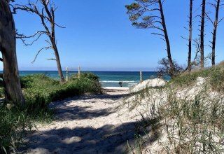 Dar&szlig;er West Beach // &copy; Islandpferdehof Fischland