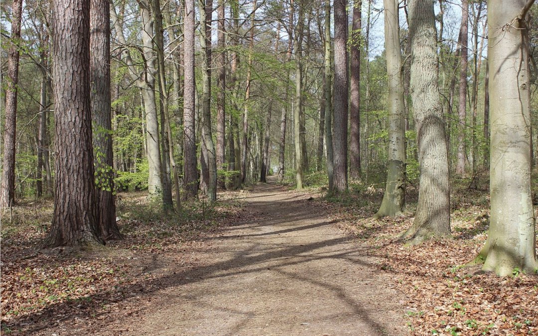 Johannes Lang_Wanderung durch den Küstenwald, © Johannes Lang