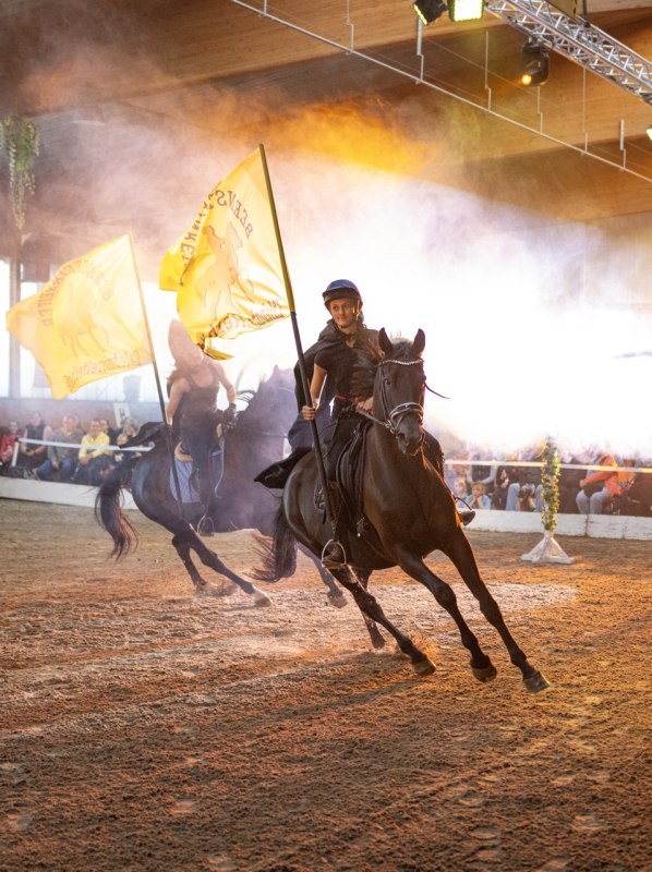 Amber rider horse show // © DE Amber rider horse show // © DE