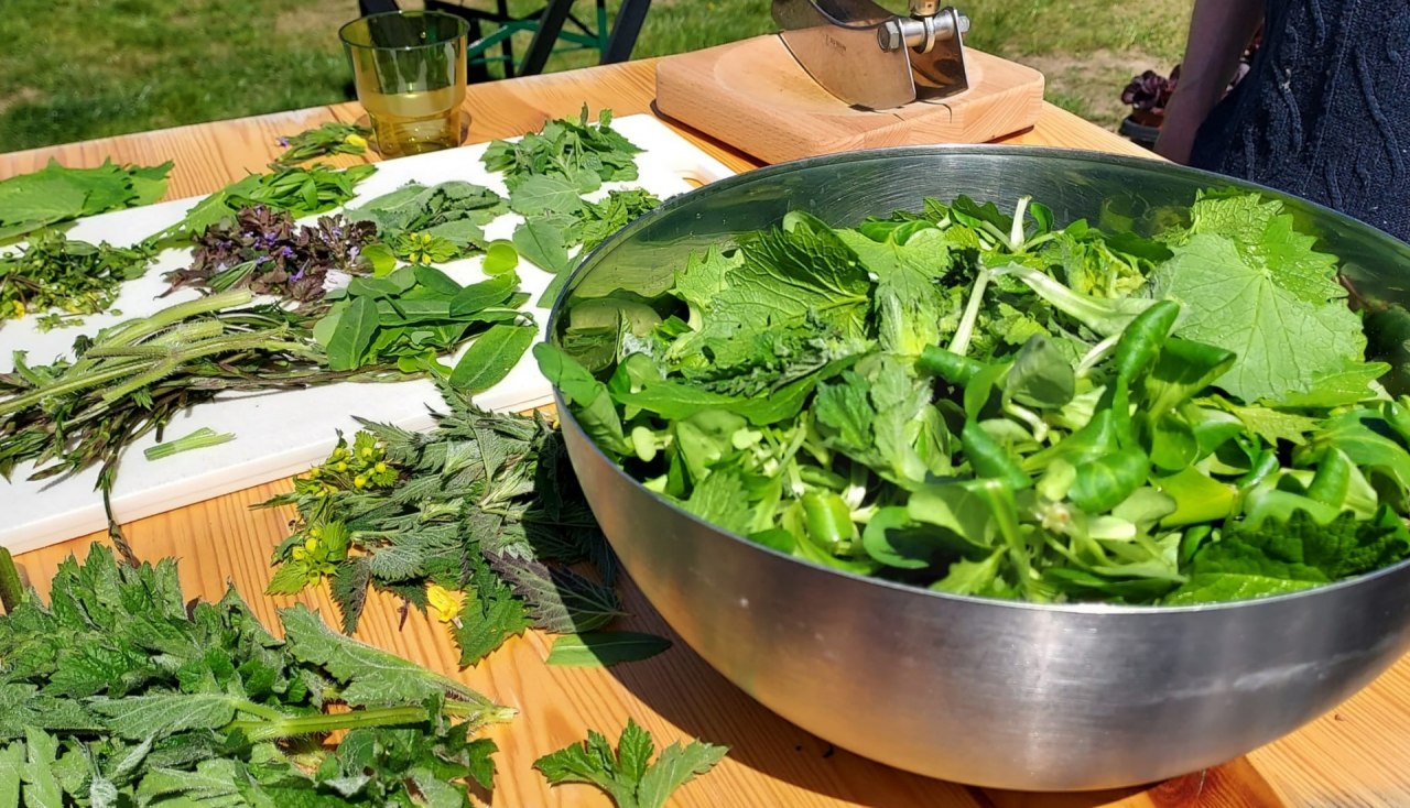 Wild ingredients // &copy; Martin Hagemann