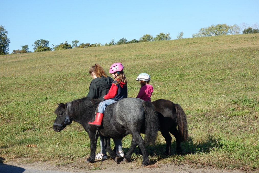 Lisa jeździ na kucyku z Franklinem i Tomym, © Anja Debniak Lisa jeździ na kucyku z Franklinem i Tomym, © Anja Debniak