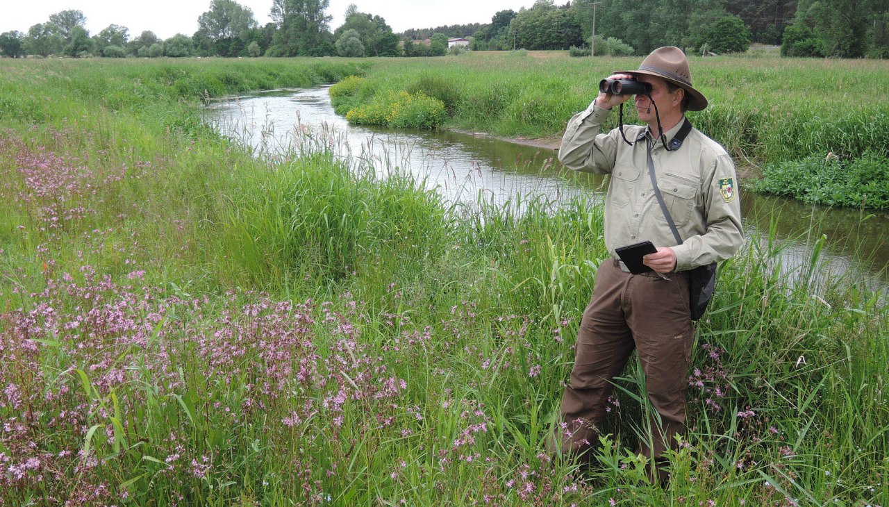 Schaalewiesen, &copy; D. Foitlaenger