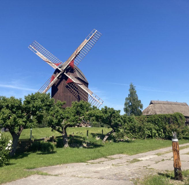 View of the Eldena mill with the art barn in the background., &copy; Martin Weidemeier