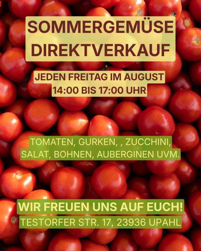 Directe verkoop van zomergroenten // &copy; Lebendiger Landbau