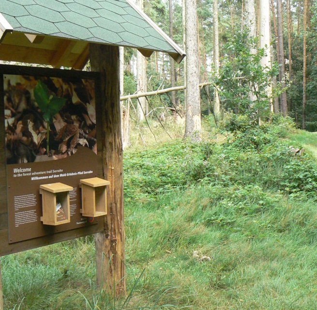 Infotafel des Walderlebnispfades // © Nationalparkamt Müritz Infotafel des Walderlebnispfades // © Nationalparkamt Müritz