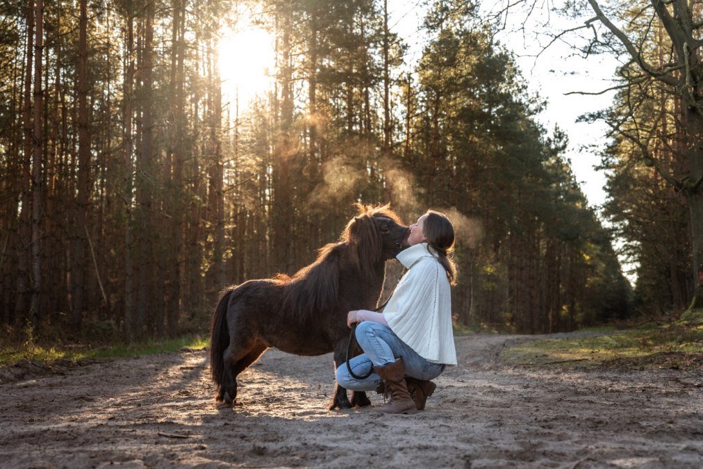 Kucyk przytulanka, © Anniemal Fotografie Kucyk przytulanka, © Anniemal Fotografie