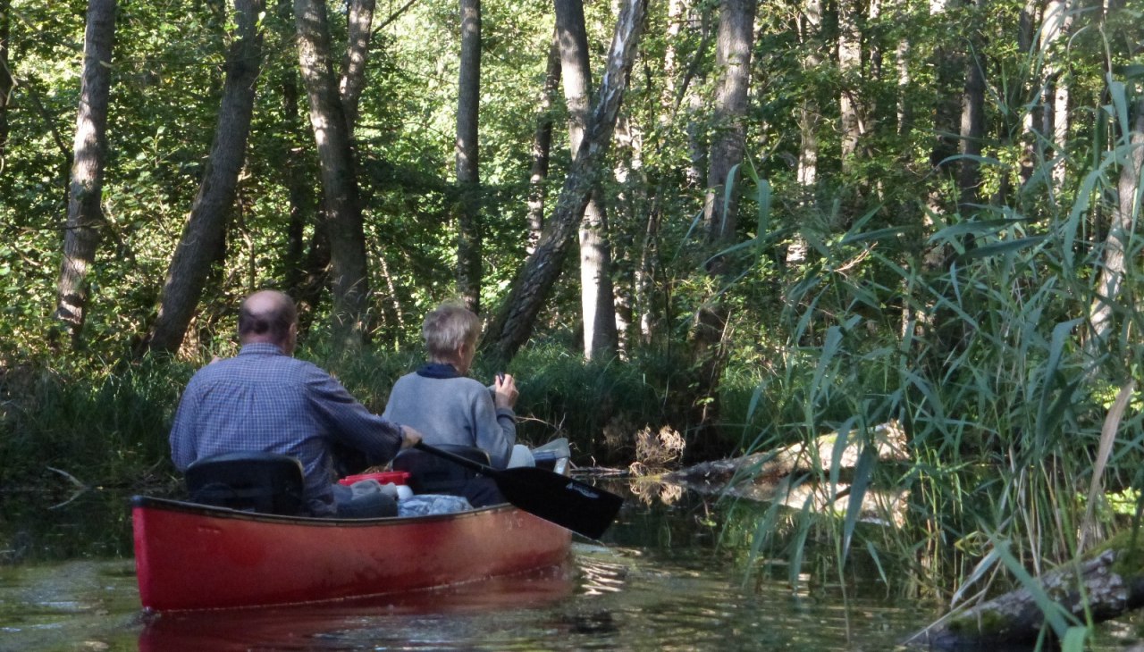 Paddling Mildenitz jungle, &copy; Kanucamp Borkow