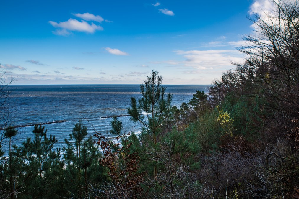 Wandeling met de boswachter, © insel-fotograf.eu, Andreas Dumke