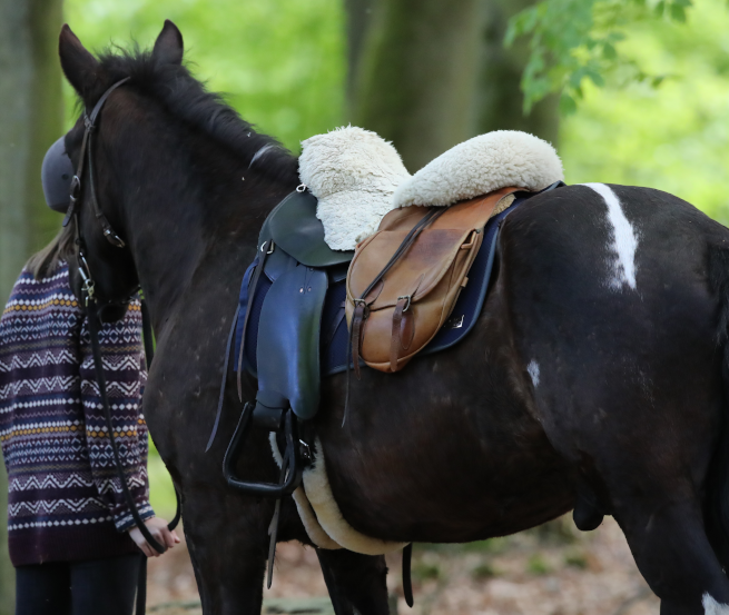 Short times out of the saddle and enjoy nature is highly recommended when hiking in Mecklenburg-Vorpommern. // &copy; MV-T/Pantel
