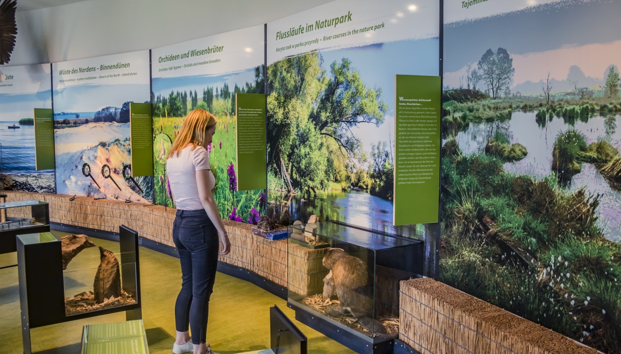 Natuurpark Am Stettiner Haff - Tentoonstellingszalen, © tvv/Philipp Schulz