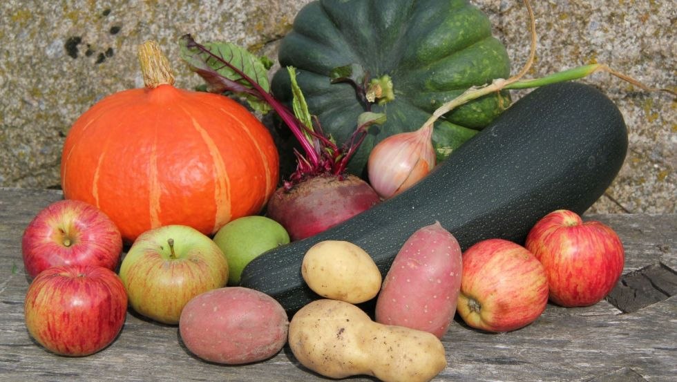 Świeże organiczne warzywa trafiają do sklepu prosto z pola. // © Mirja Peitz Świeże organiczne warzywa trafiają do sklepu prosto z pola. // © Mirja Peitz