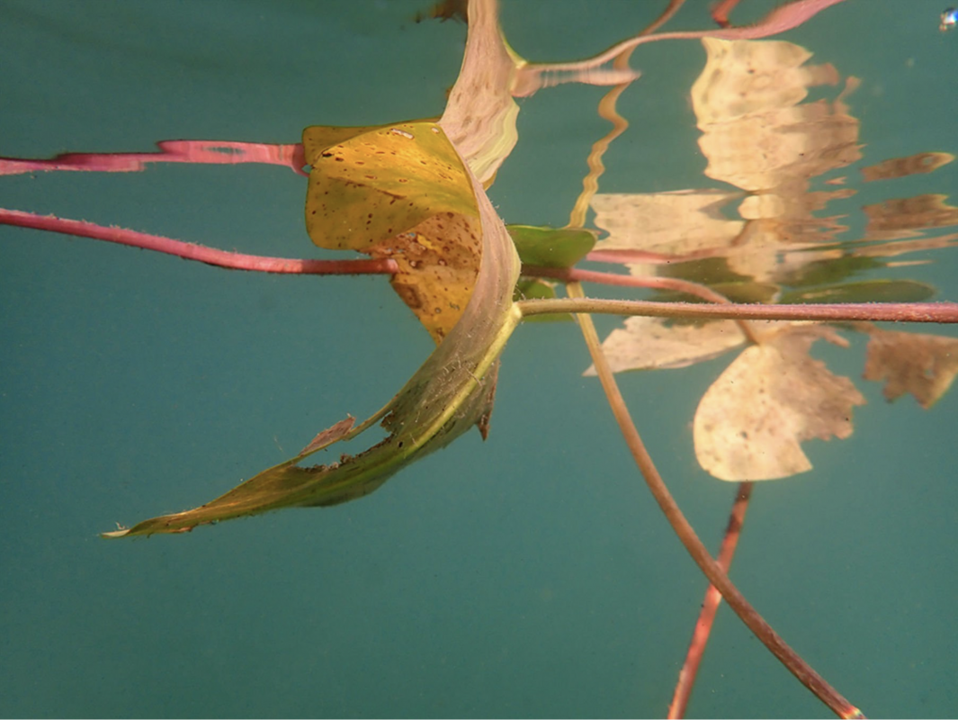 Photo print behind acrylic glass // &copy; Christiane Jaschek