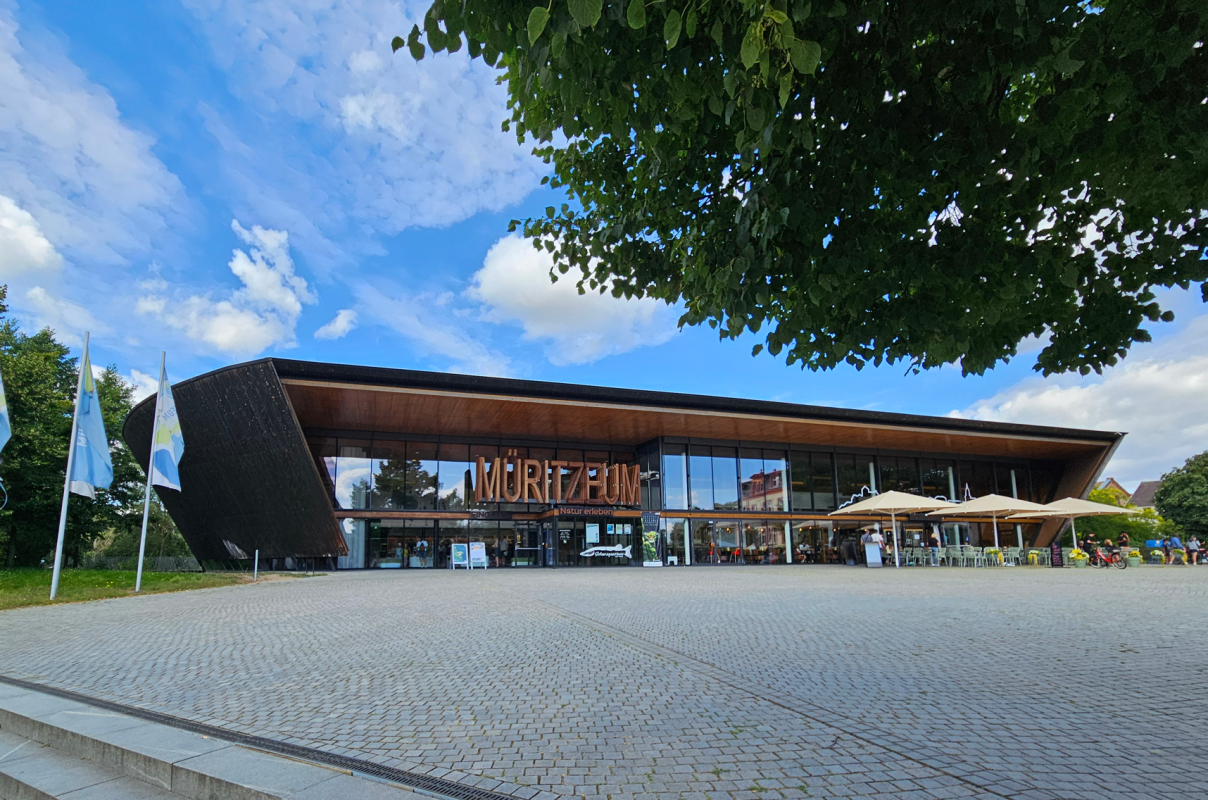 Nowoczesna drewniana architektura w Müritzeum - Odkryj, podziwiaj i rozpocznij dzień w kawiarni nad jeziorem. // © MÜRITZEUM Nowoczesna drewniana architektura w Müritzeum - Odkryj, podziwiaj i rozpocznij dzień w kawiarni nad jeziorem. // © MÜRITZEUM