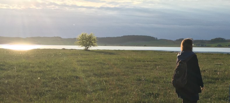 © Wehweck © Wehweck