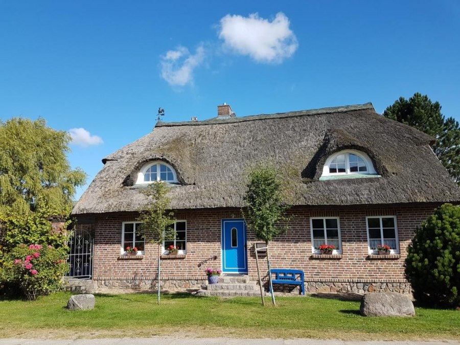 We noemen de vakantiewoning op de bovenste verdieping liefkozend het "Zwaluwnest"., © Carola Stier