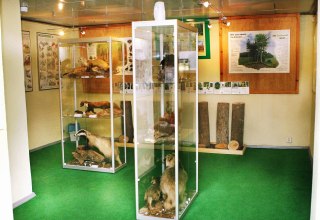 View of the exhibition // &copy; Sabrina Wittkopf-Schade