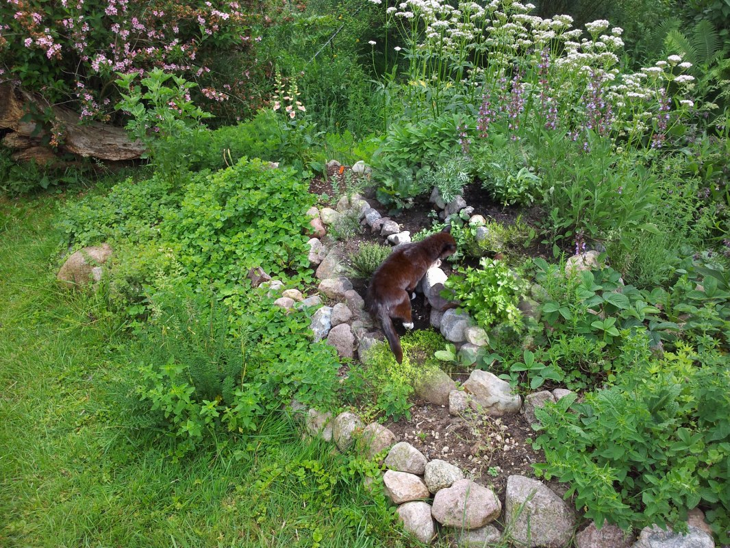 Various herb plants with longest serving hangover, &copy; Heike Voigt - Edle Tropfen Kr&auml;uterspezialit&auml;ten