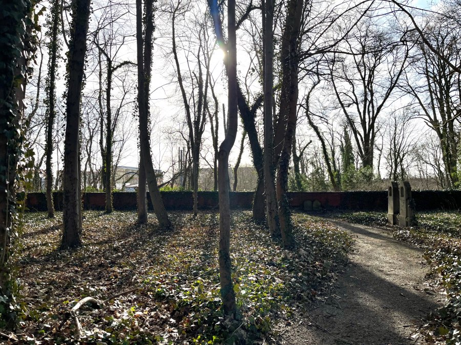 Cmentarz żydowski, © Kultur- und Sportring e.V. Cmentarz żydowski, © Kultur- und Sportring e.V.