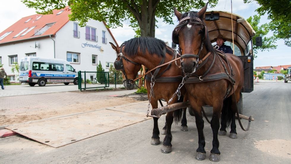 Carriage in front of the vacation resort Dröse, © Ferienanlage Dröse_P. Lipke