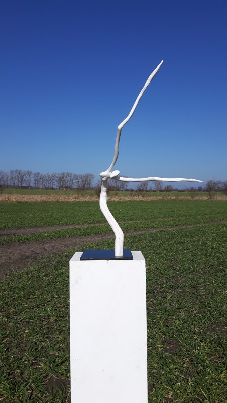 &copy; burghardt siperko