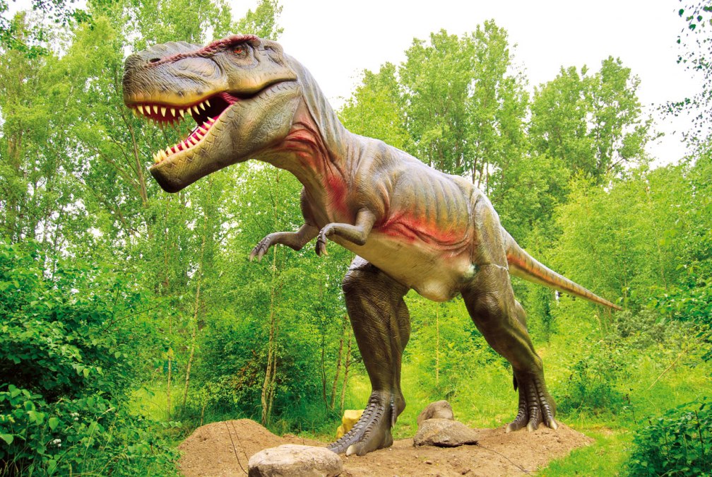 Tyrannosaurus Rex, &copy; Marcel Kunkel